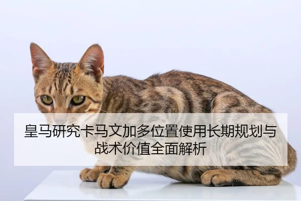 皇马研究卡马文加多位置使用长期规划与战术价值全面解析